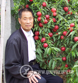 ���ɵ� ��(y��u)����������